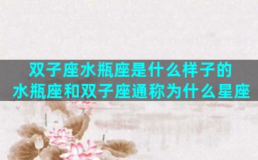 双子座水瓶座是什么样子的 水瓶座和双子座通称为什么星座